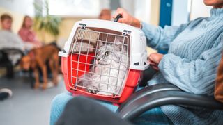 Woman sitting in waiting area at vet with cat carrier on her knee and grey cat inside