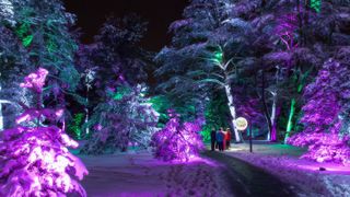 Elation lighting solution shine bright on a tree exhibit in Illinois.