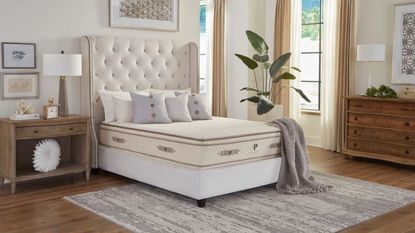 A PlushBeds Organic Latex Mattress on a bed in a neutral bedroom with a large cream upholstered headboard. The floor in the bedroom is wooden, with a large rug beneath the bed. To the left of the bed is a wooden bedside table with a wooden lamp with white lampshade, and to the right are large windows with sheer white and beige curtains, and a wooden chest of drawers. There are also various artworks hanging on the wall, a large cheeseplant, and a grey blanket on the end of the bed.
