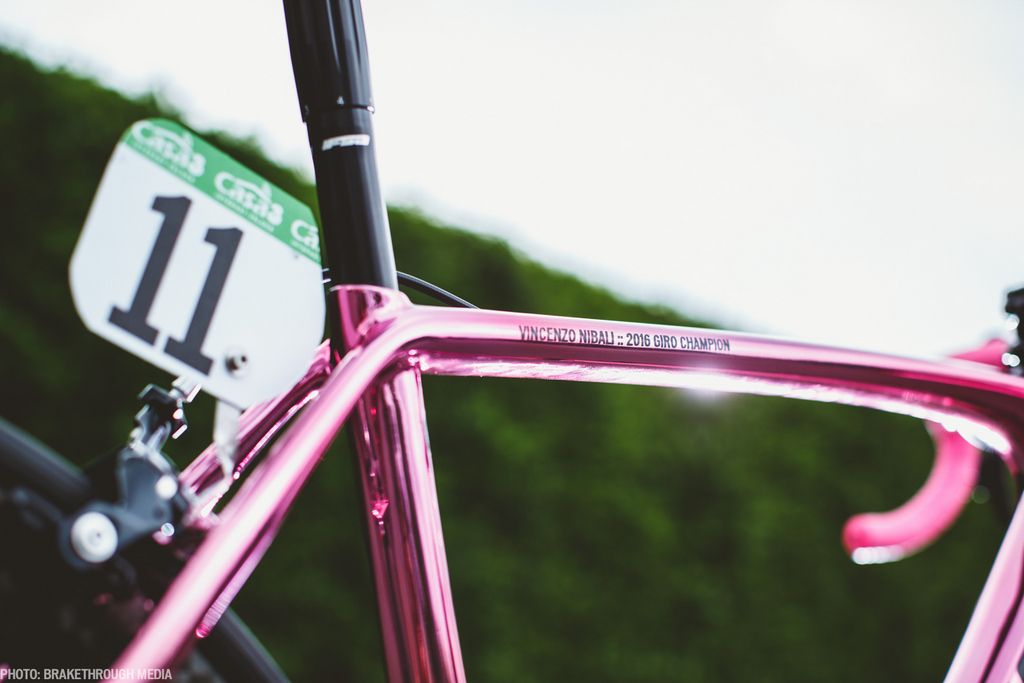 The paint job shines in the sunlight
