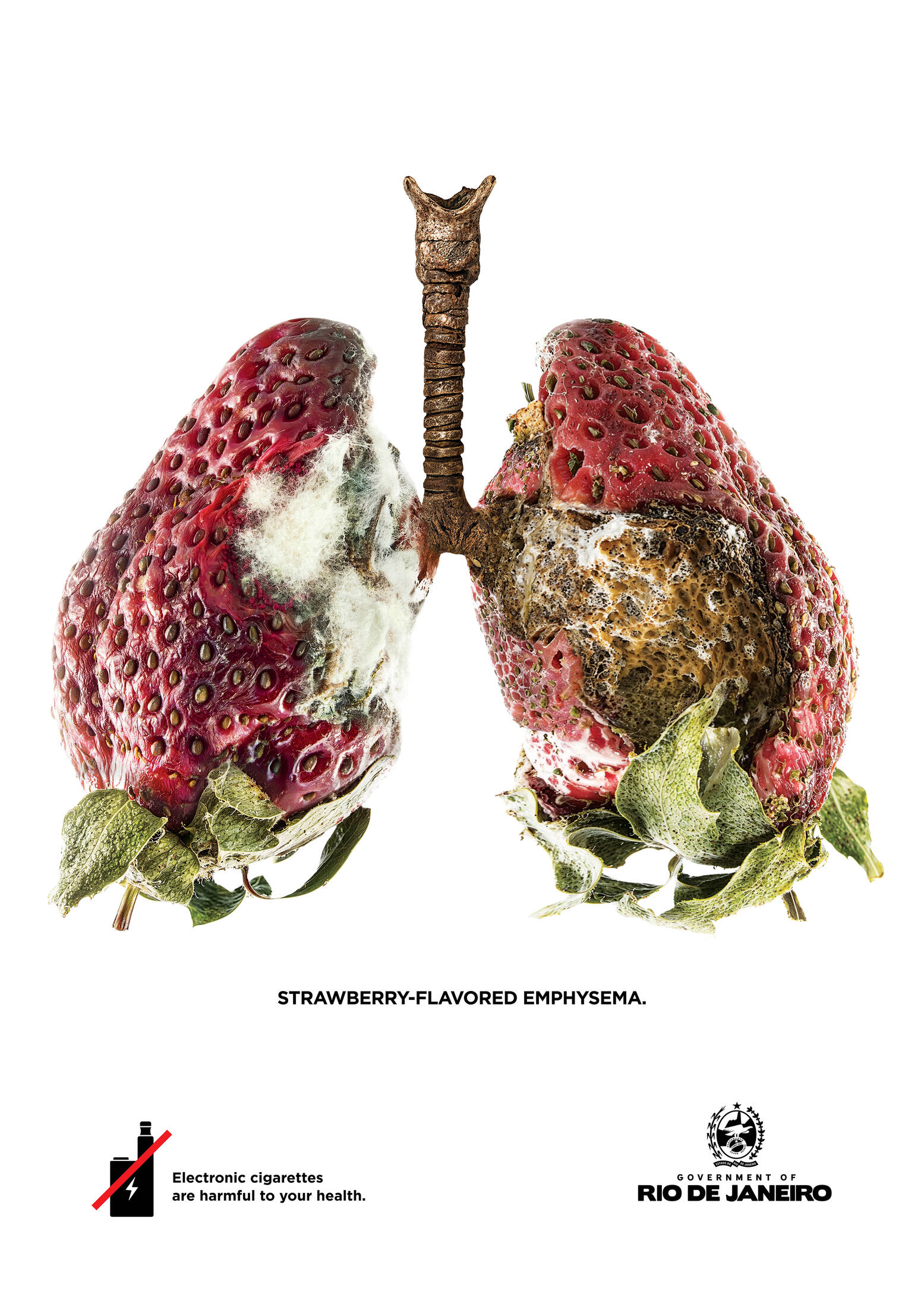 Anti-vaping ads showing rotten fruit as lungs