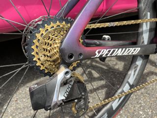 The gold chain and cassette of Lotte Kopecky's (SDWorx) Specialized Tarmac