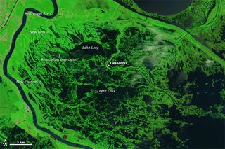 hurricane katrina, katrina, new orleans, louisiana, swamps, marshes, gulf of mexico, delacriox