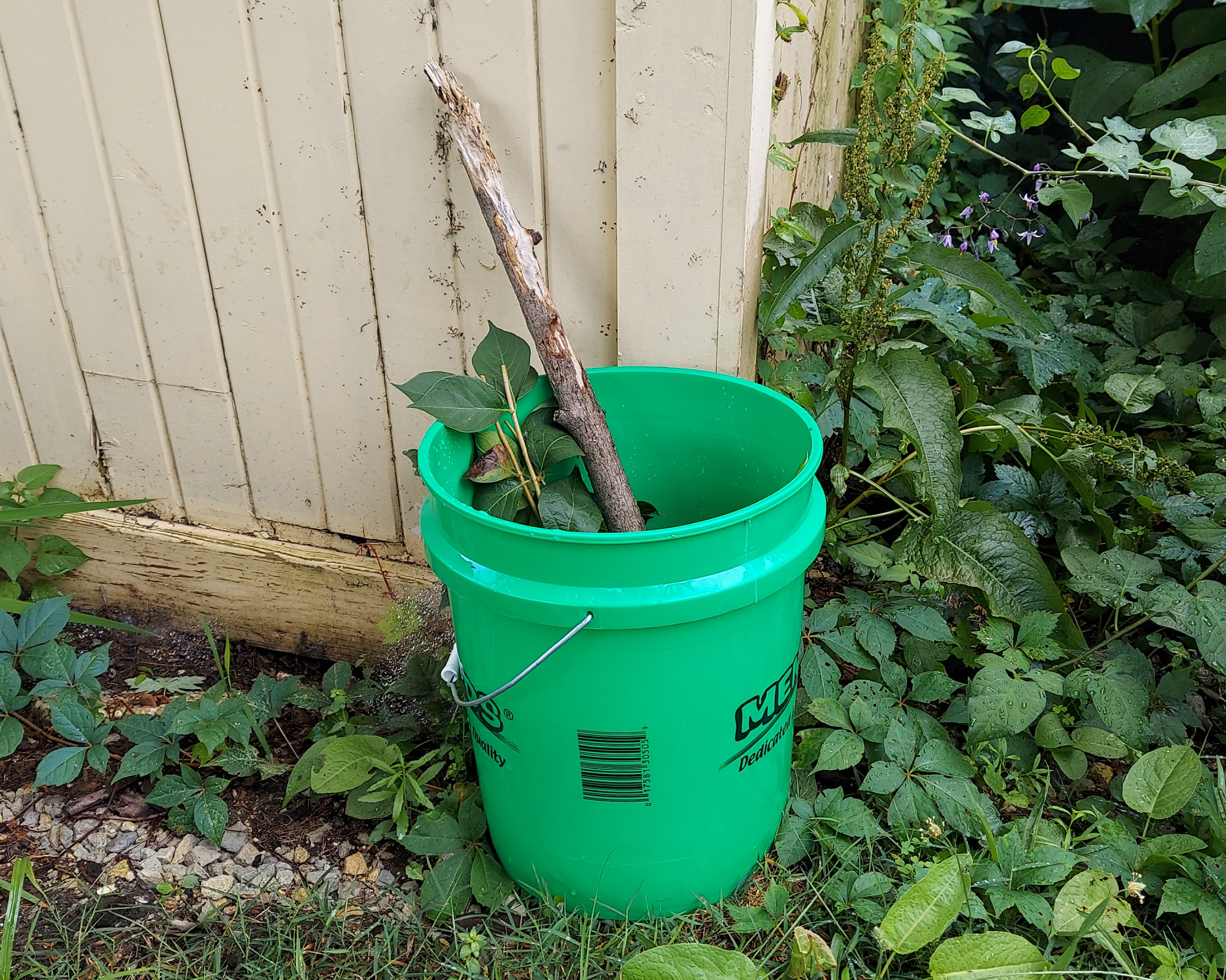 Completed mosquito bucket of doom sitting in yard