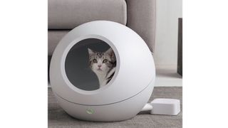 PetKit Cozy smart bed review | PetsRadar Cat Bed Plastic Pet Bed For Cats