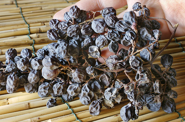 ripasso and appassimento