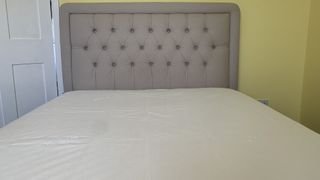 Coop Home Goods Ultra Tech Waterproof Mattress Protector review