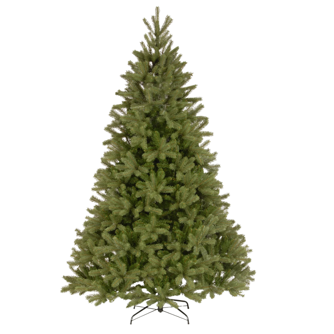 7.5 Ft. Downswept Douglas Fir Tree