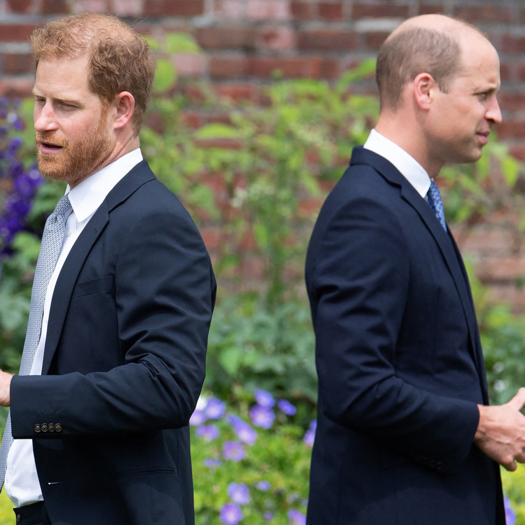 Prince Harry and Prince William with their backs to each other