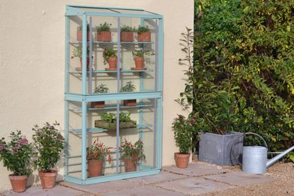 blue mini greenhouse in a garden with plant pots and a watering can