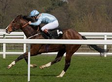 Ascot-Countryside-Race-Day-106.jpg