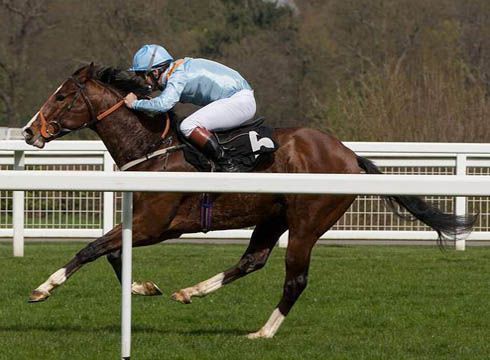 Ascot-Countryside-Race-Day-106.jpg