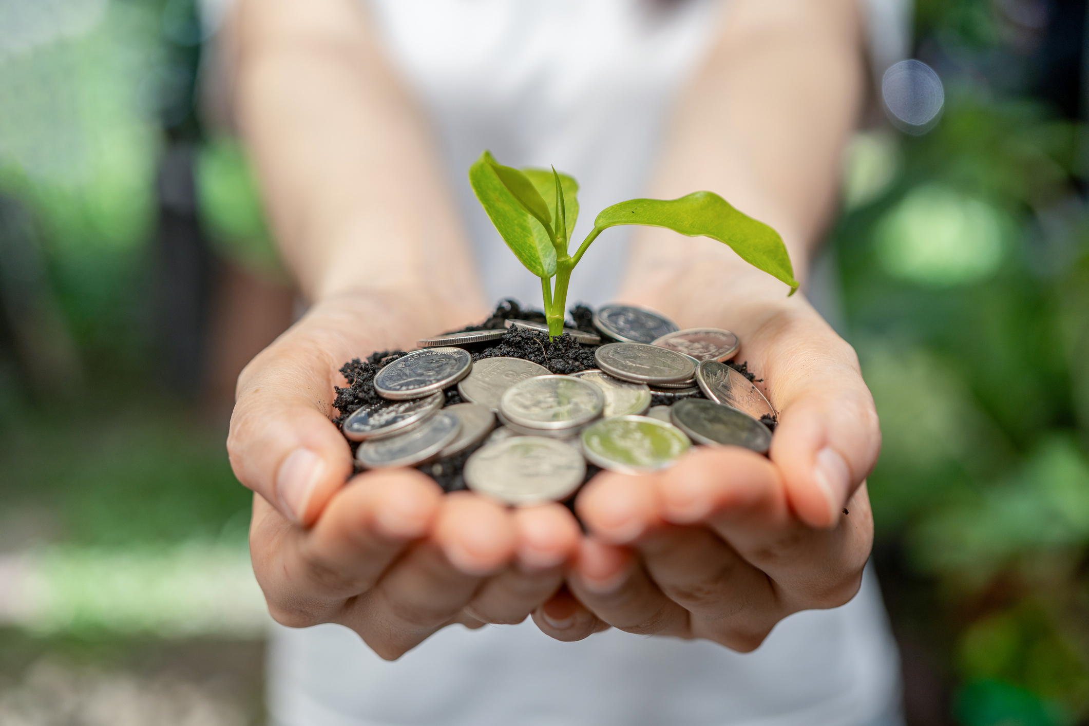 Investor handing stacks of golden coins and small growing tree over blurred nature background