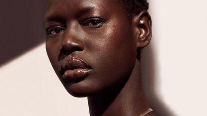 Gorgeous Black woman wearing bronzer