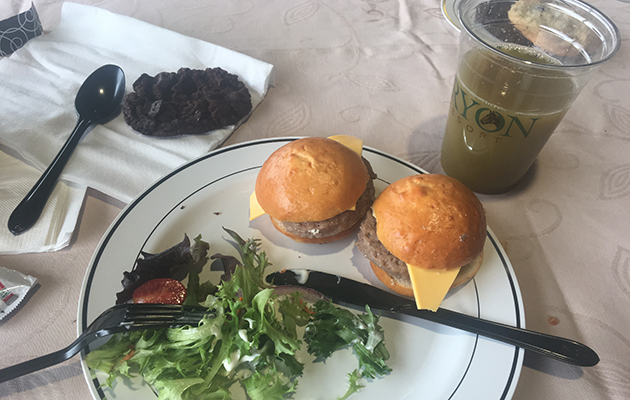 Tryon WEG first impressions