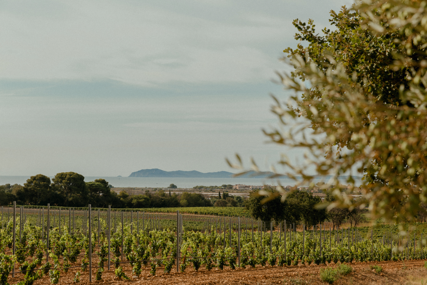A long view picture of the mountains and islands