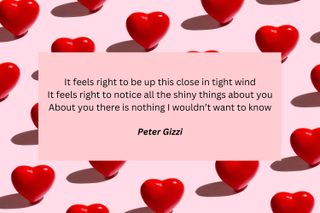 Lines from the poem Lines Depicting Simple Happiness, by Peter Gizzi