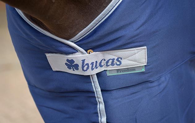 Bucas Freedom Twill Sheet review