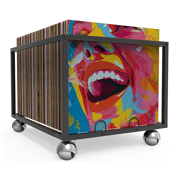 Showxeeyee vinyl storage