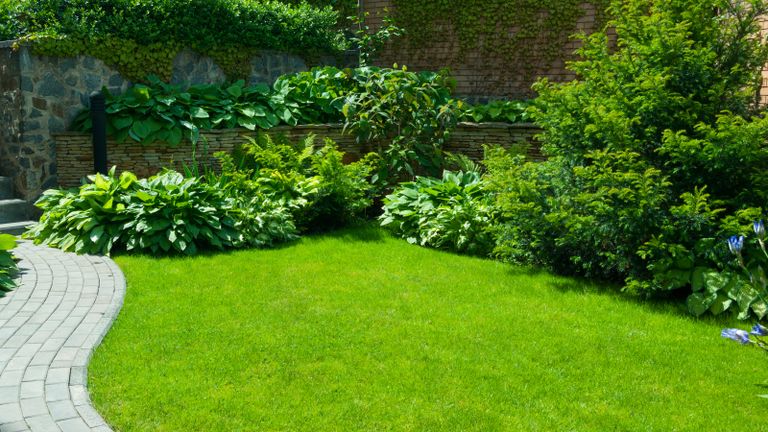 A healthy green lawn with borders and brick wall