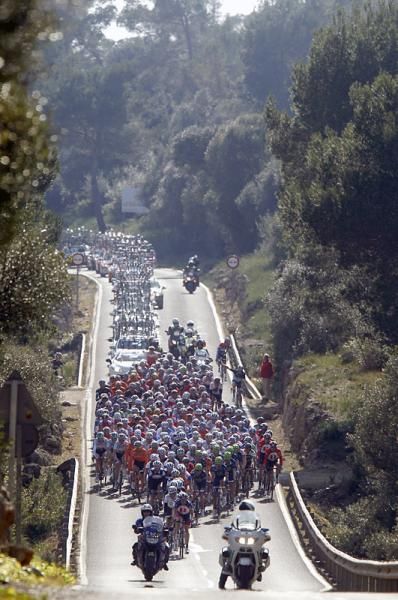 The peloton in action during the Trofeo Cala Millor.