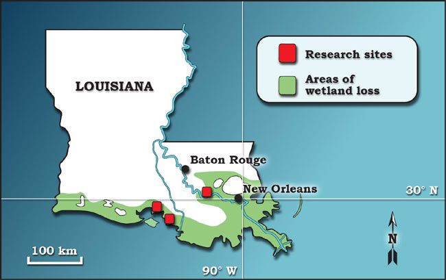 Map Of Louisiana Coastline The Real Reason Louisiana Is Sinking Live Science