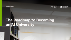 The Roadmap to Becoming an AI University