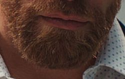 Dylan's beard has a cult following online