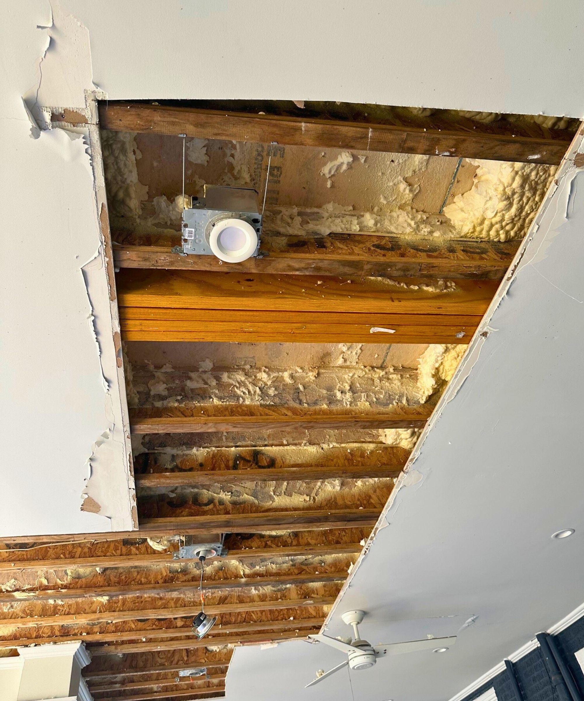 A view up at the particle board ceiling, with many feet of it opened up, showing vast areas where the insulation foam has been removed and rafters remain, as well a water damage on the surrounding areas