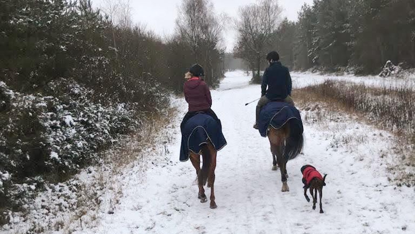 Two riders out on a snowy hack with their dog