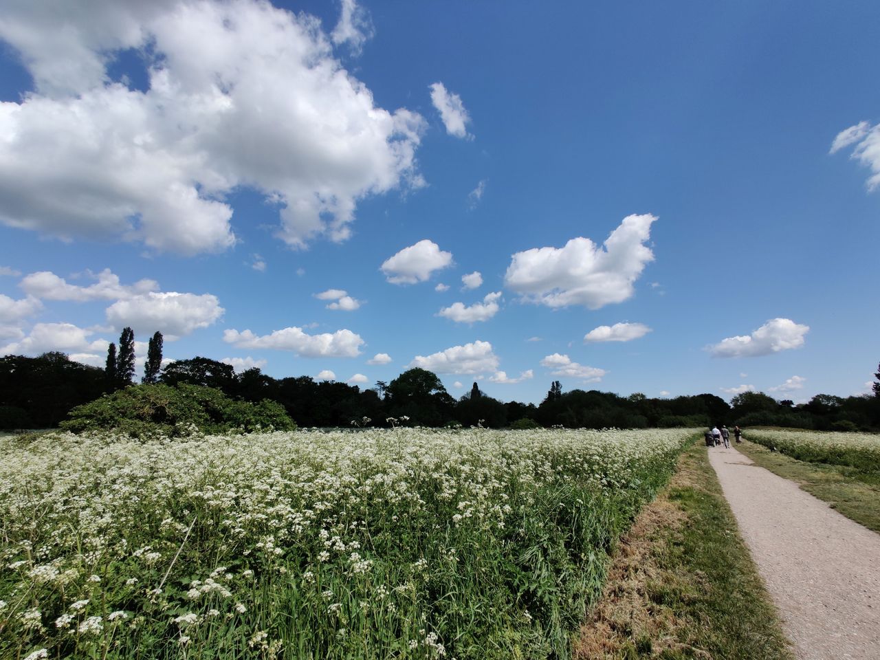 Wide-angle images use a different camera and are 16 million pixels.