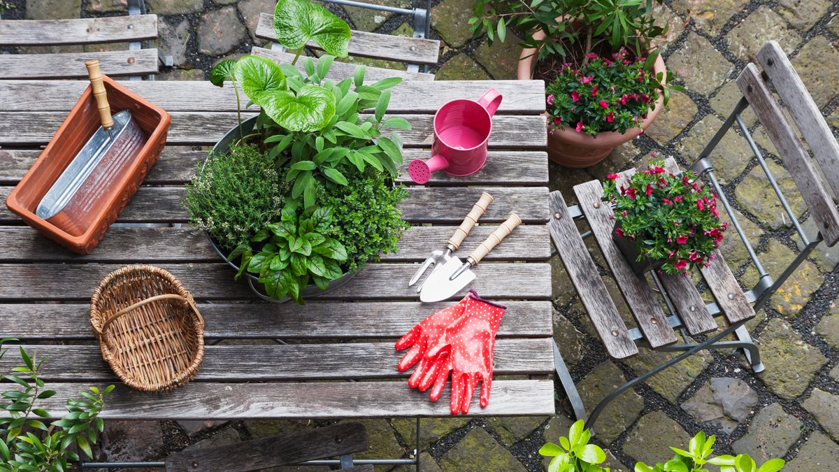 Sustainable gardening: image of garden tools and plants