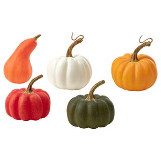 HÖstagille Decoration Pumpkin, Set of 5 - Mixed Colors