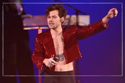 Harry Styles pauses show for pregnant woman for vital reason