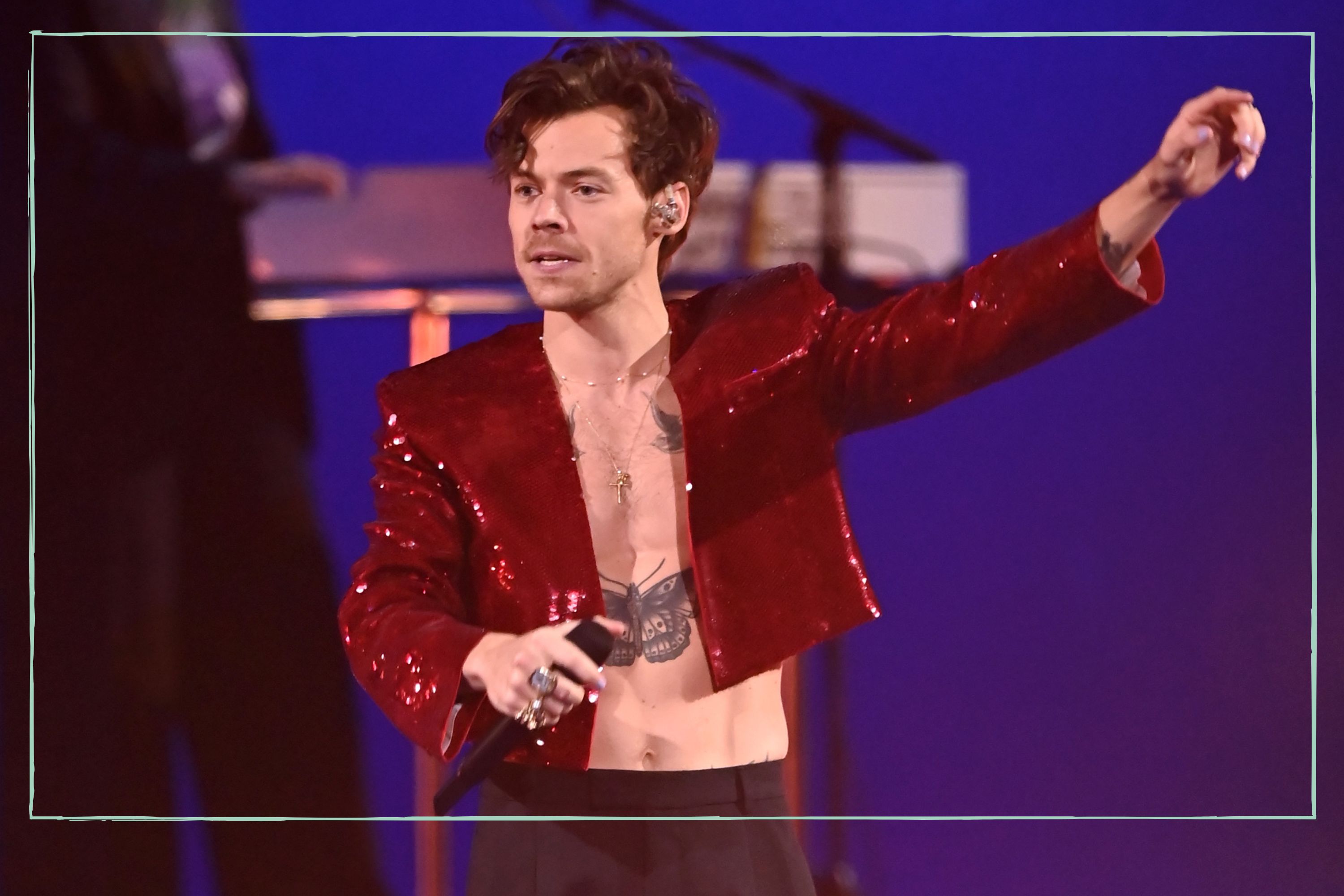 Harry Styles Just Paused An Entire Show For A Pregnant 