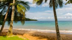 A photo of a beach at Bom Bom Resort on Principe Island