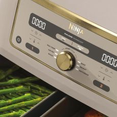 Ninja stone air fryer 