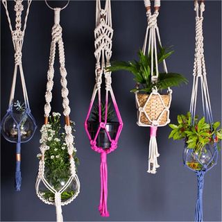 neon hanging planters with voilet colour wall