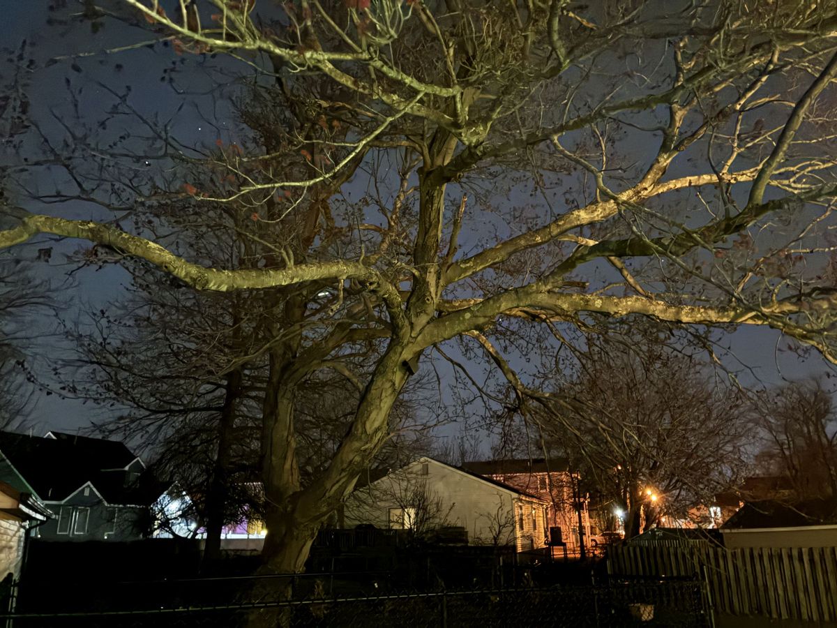 Apple iPhone 16e low light sample.