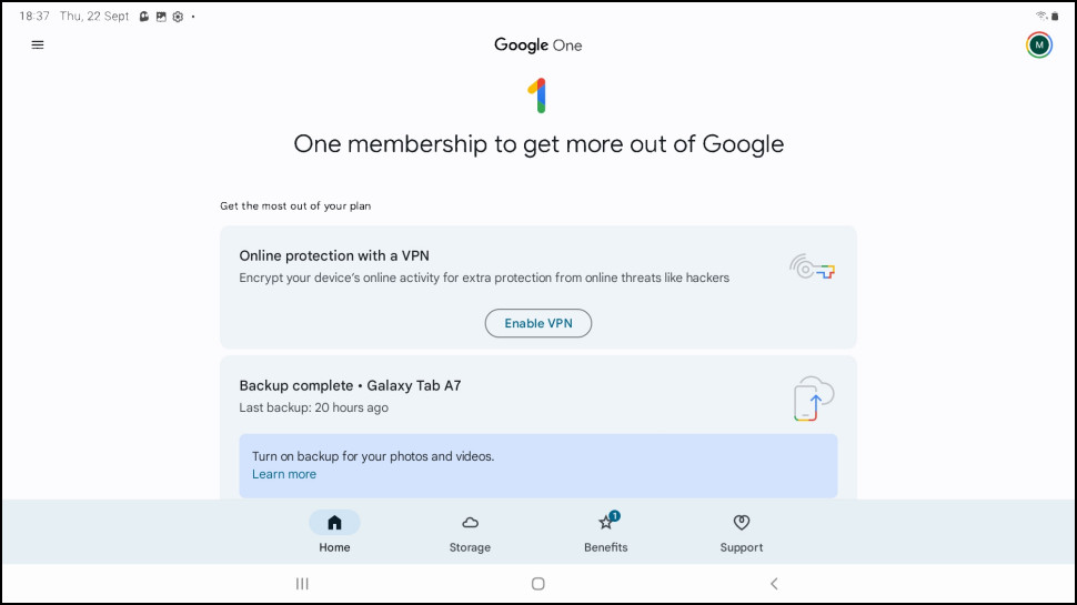 Google One VPN Algemene Interface