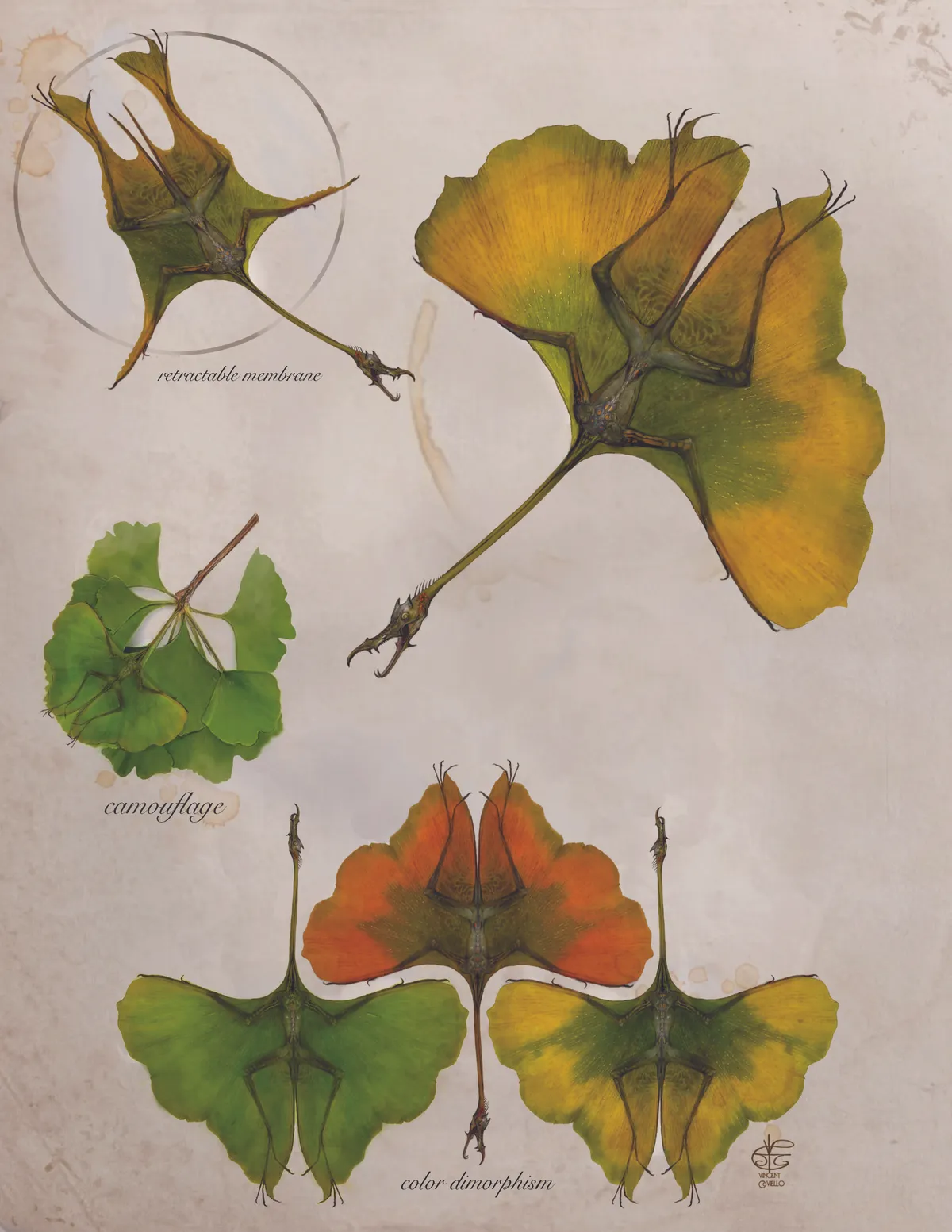 Post image 6