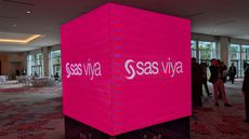 An LED box on the ground at SAS Innovate 2025 showing the SAS Viya logo in white set against a bright pink background.