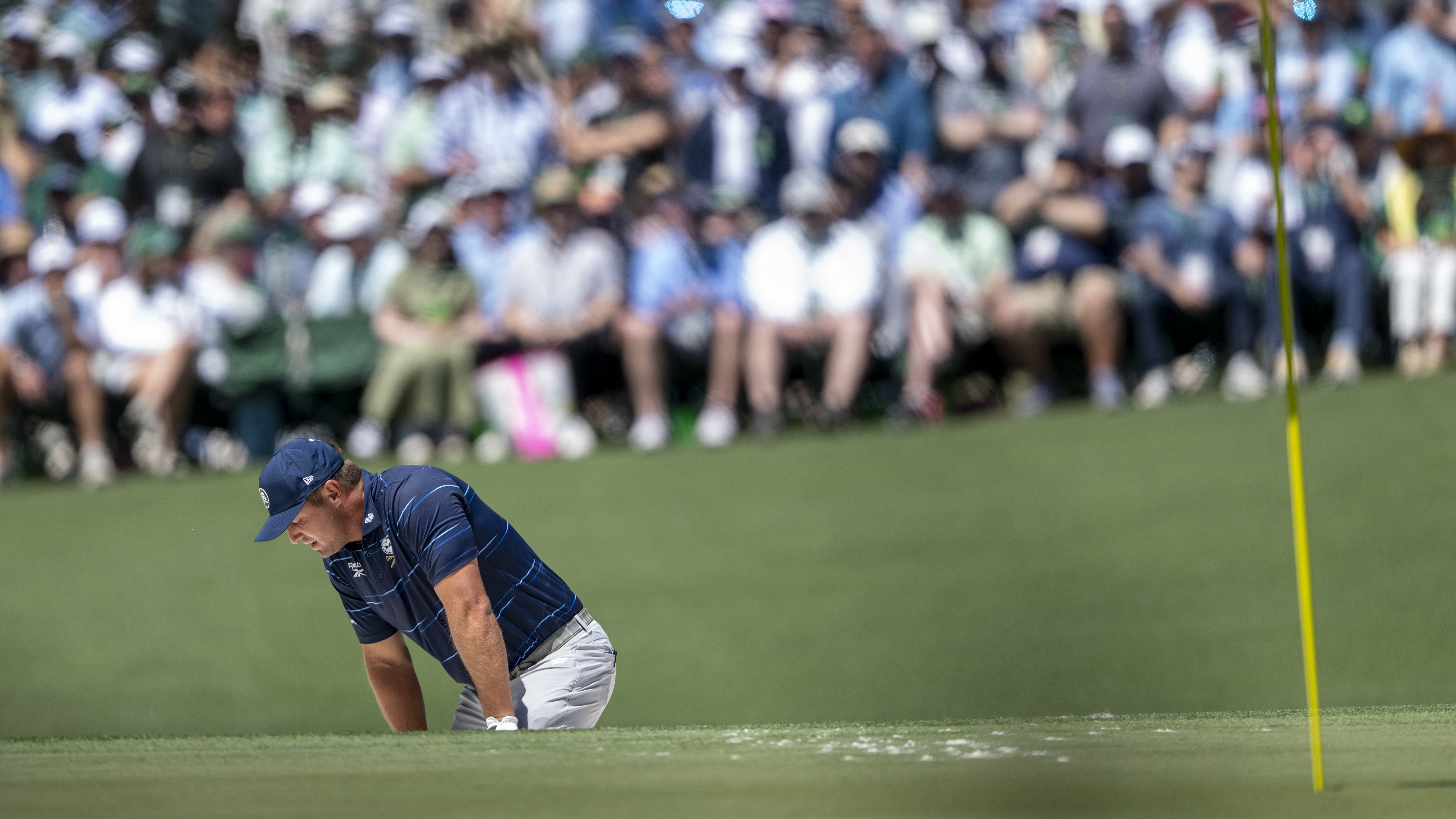 Photo of Bryson Dechambeau