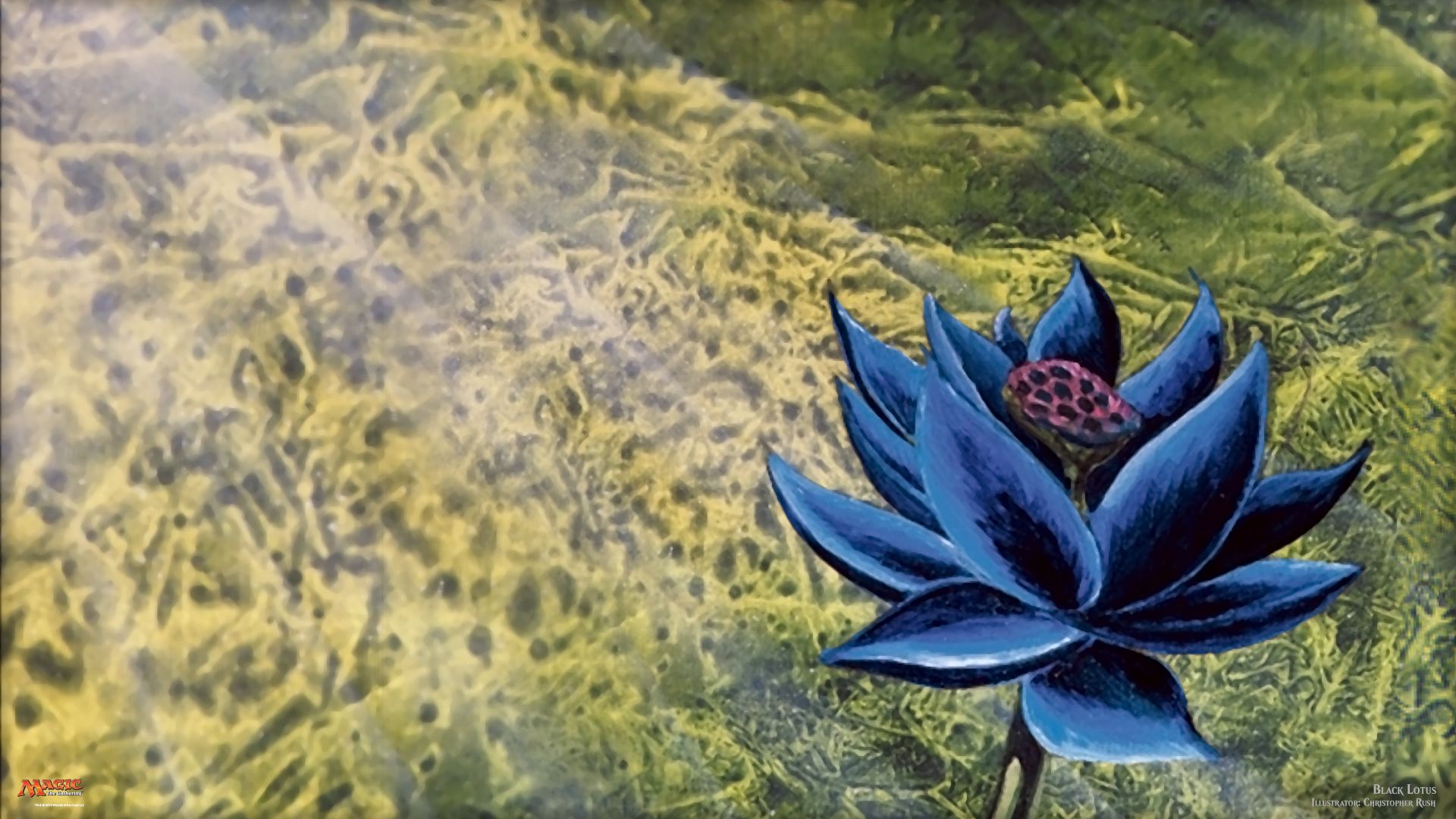 Magic The Gathering Black Lotus Wallpaper