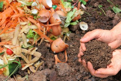 Gardener Holding Soil Next To Compost Pile
