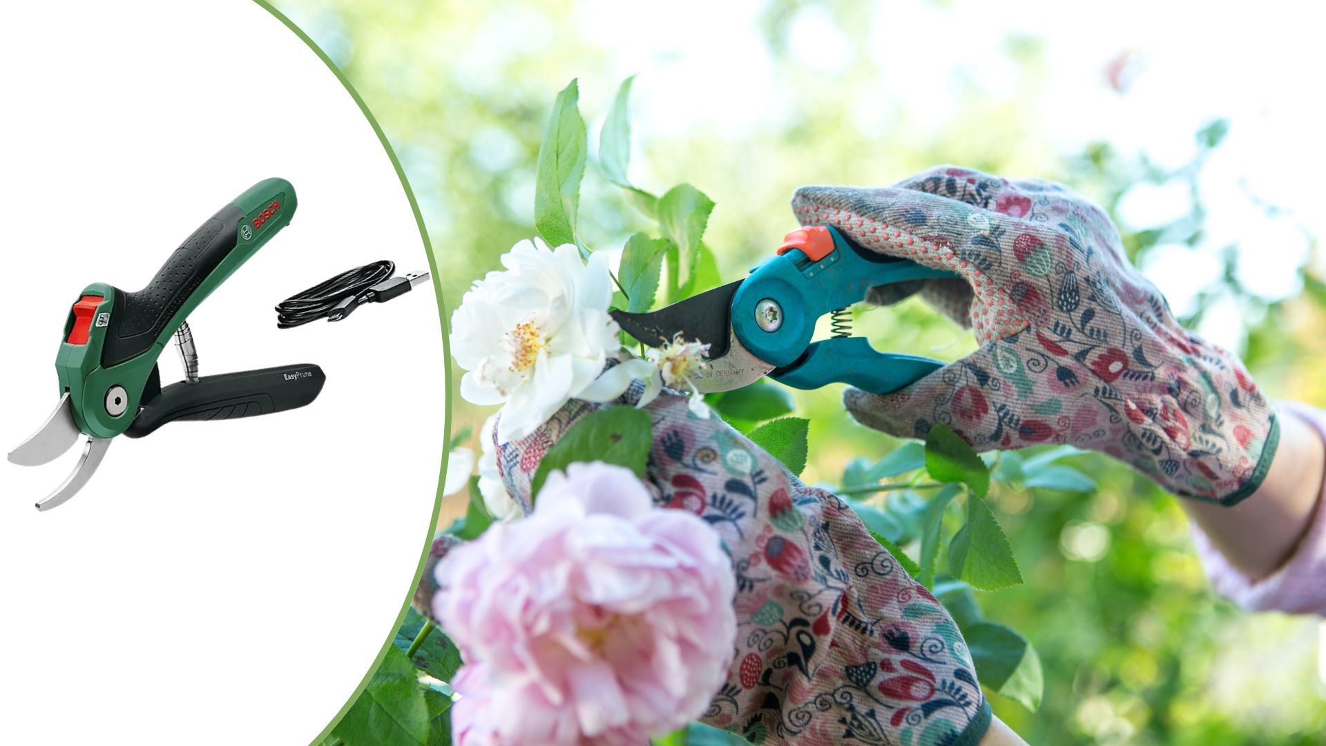 Compilation image of the new Bosch EasyPrune cordless garden secateurs trimming a rose bush