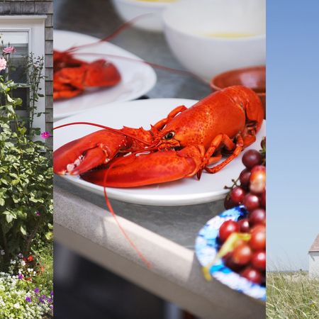 Lobster, Red, Seafood, Decapoda, Crustacean, Food, Homarus, Crayfish, Photography, Invertebrate, 