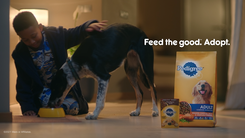 pedigree dog food advertisements