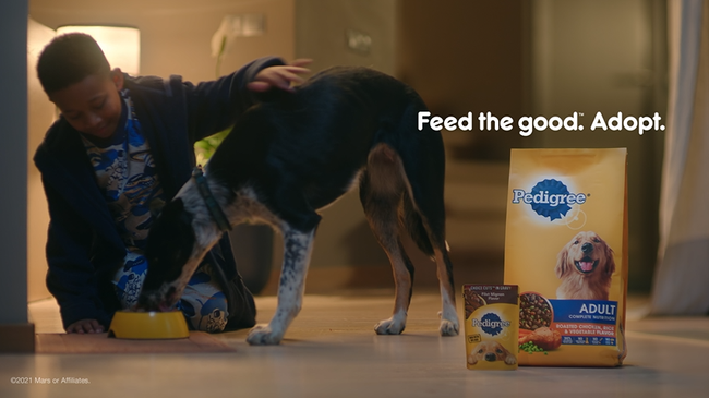 Pedigree OpenAP MediaCom Advanced Advertising Innovation Award Winner