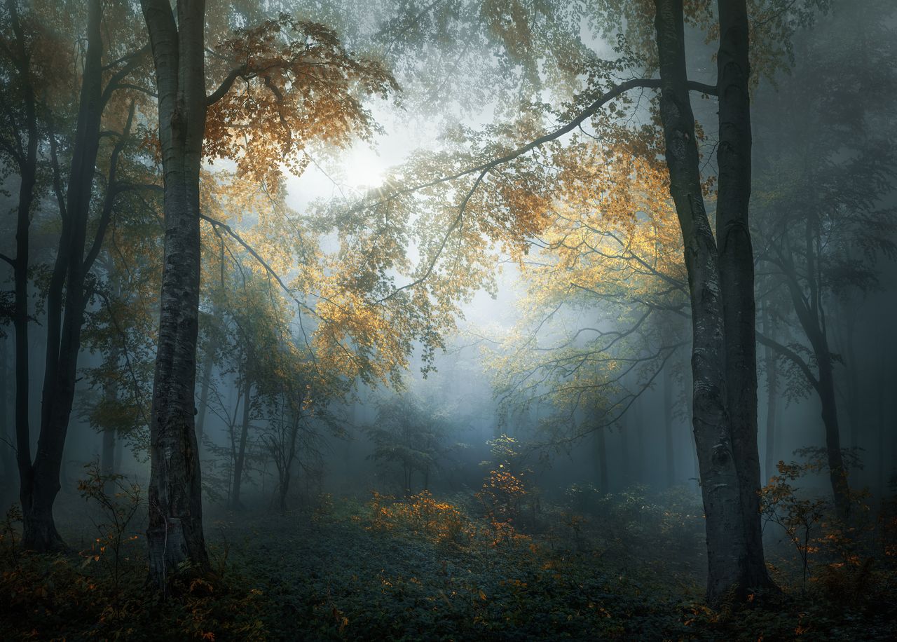 &copy; Veselin Atanasov, Winner, Open Landscape &amp; Nature and Winner, Bulgaria National Award, 2018 Sony World Photography Awards